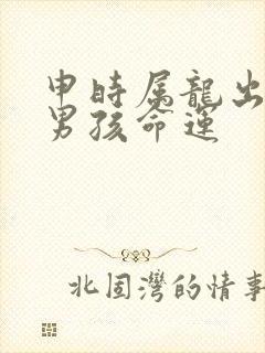 申时属龙出生的男孩命运