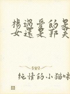 杨过爱的是小龙女还是郭芙封面