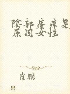 阴部瘙痒是什么原因女性封面