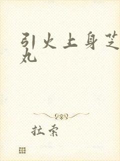 引火上身芝麻糖丸封面