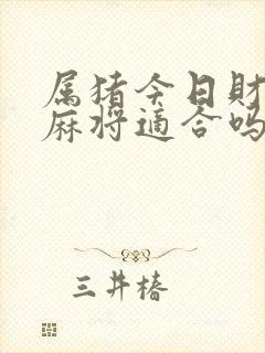 属猪今日财运打麻将适合吗女