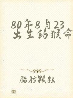 80年8月23出生的猴命运如何