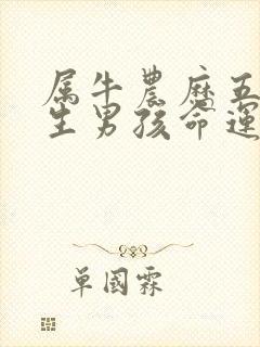 属牛农历五月出生男孩命运