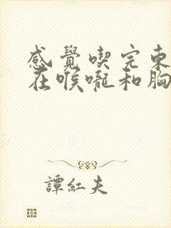 感觉吃完东西堵在喉咙和胸口