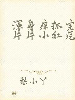 浑身痒抓完起一片片小红疙瘩