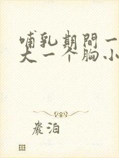 哺乳期间一个胸大一个胸小怎么办封面