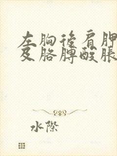 左胸后肩胛骨以及胳膊酸胀