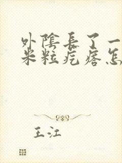 外阴长了一个小米粒疙瘩怎么回事