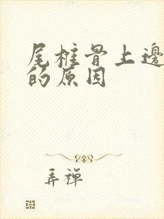 尾椎骨上边疼痛的原因