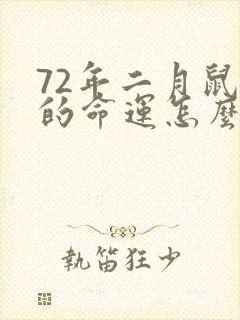 72年二月鼠男的命运怎么样