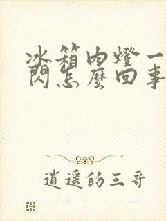 冰箱内灯一闪一闪怎么回事