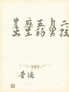 农历五月二十五出生的男孩命运好吗2024年