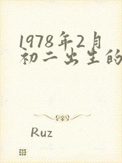 1978年2月初二出生的人的命运封面