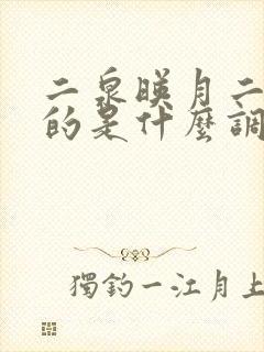 二泉映月二胡用的是什么调封面