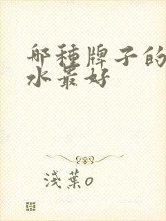 哪种牌子的洗发水最好