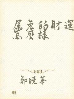 属兔的财运今年怎么样