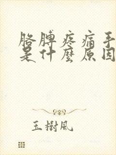 胳膊疼痛手发麻是什么原因封面