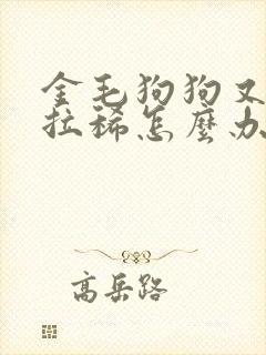 金毛狗狗又吐又拉稀怎么办