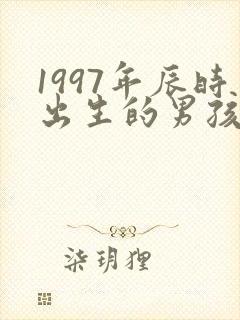 1997年辰时出生的男孩命运