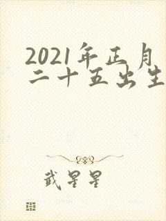 2021年正月二十五出生的男孩命运封面