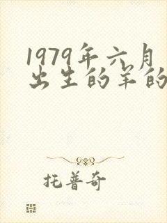 1979年六月出生的羊的命运