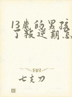 13岁的男孩到了叛逆期怎麽教