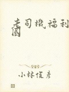 老司机福利91国