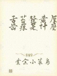 舌苔发黄厚腻有齿痕是什么原因怎么调理