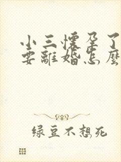 小三怀孕了老公要离婚怎么办