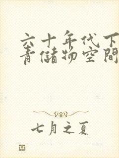 六十年代下乡知青储物空间