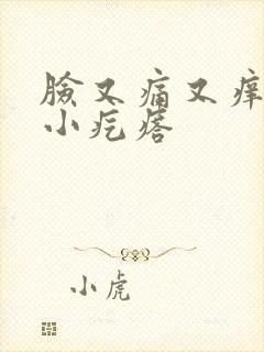 脸又痛又痒还有小疙瘩