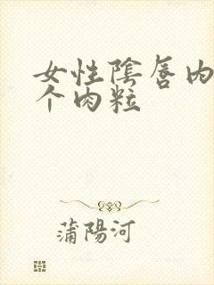 女性阴唇内侧长个肉粒