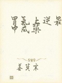 胃气上逆最好的中成药封面