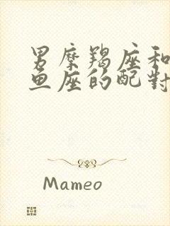 男摩羯座和女双鱼座的配对指数