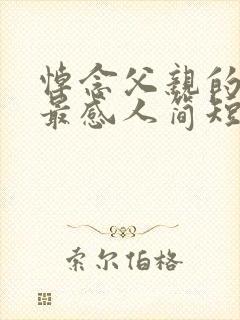 悼念父亲的悼词最感人简短