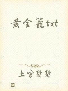 黄金笼txt