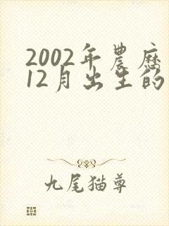 2002年农历12月出生的命运