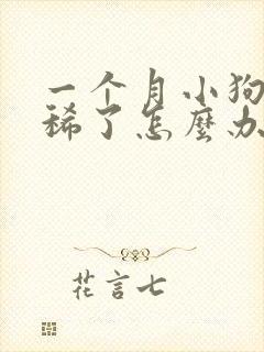 一个月小狗狗拉稀了怎么办