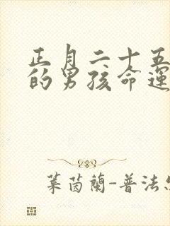 正月二十五出生的男孩命运如何