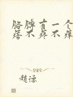 胳膊有一个硬疙瘩不疼不痒封面