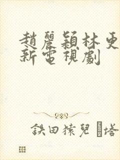 赵丽颖林更新最新电视剧封面