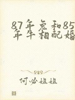 87年兔和85年牛相配婚姻如何