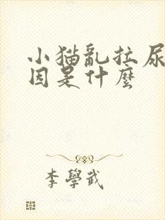 小猫乱拉尿的原因是什么