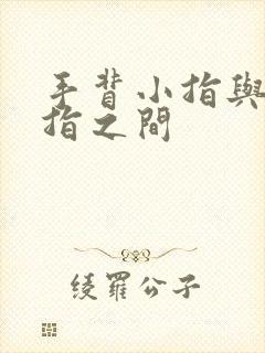 手背小指与无名指之间