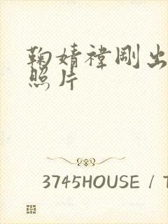 鞠婧祎刚出道的照片