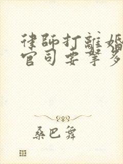 律师打离婚财产官司要拿多少的律师费封面