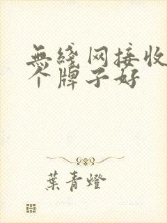 无线网接收器哪个牌子好