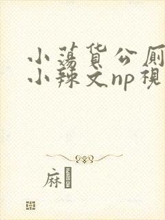 小荡货公厕h文小辣文np视频