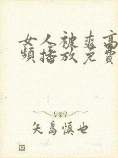 女人被爽高潮视频播放免费封面