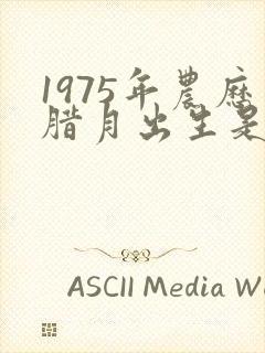 1975年农历腊月出生是什么命